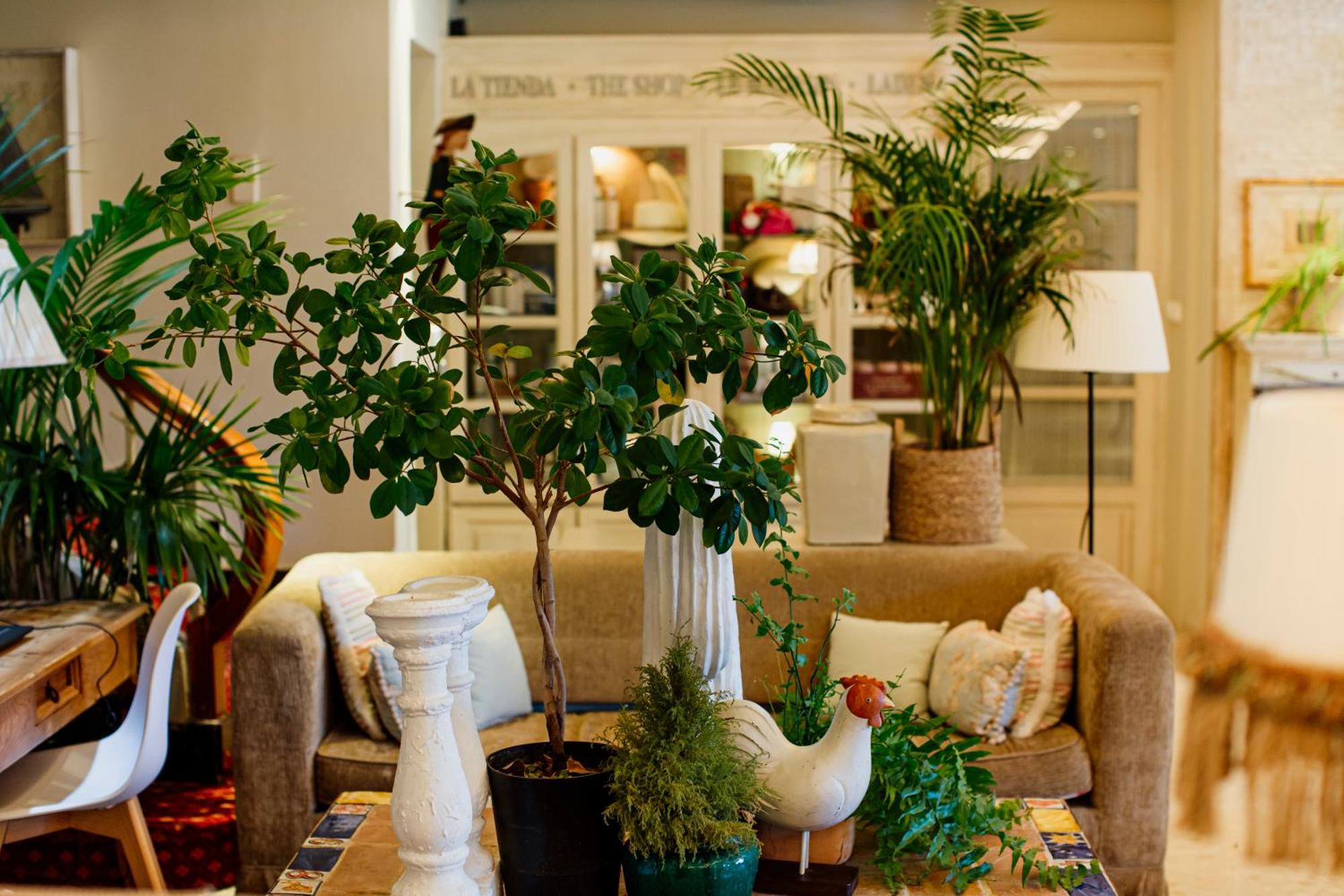 Hotel Los Angeles 데니아 외부 사진